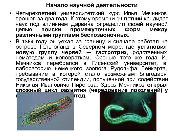 Начало научной деятельности Четырехлетний университетский курс Илья Мечников прошел за