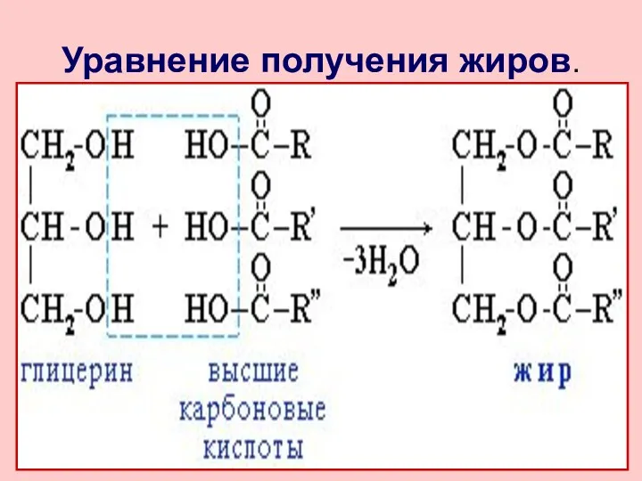 Уравнение получения жиров.