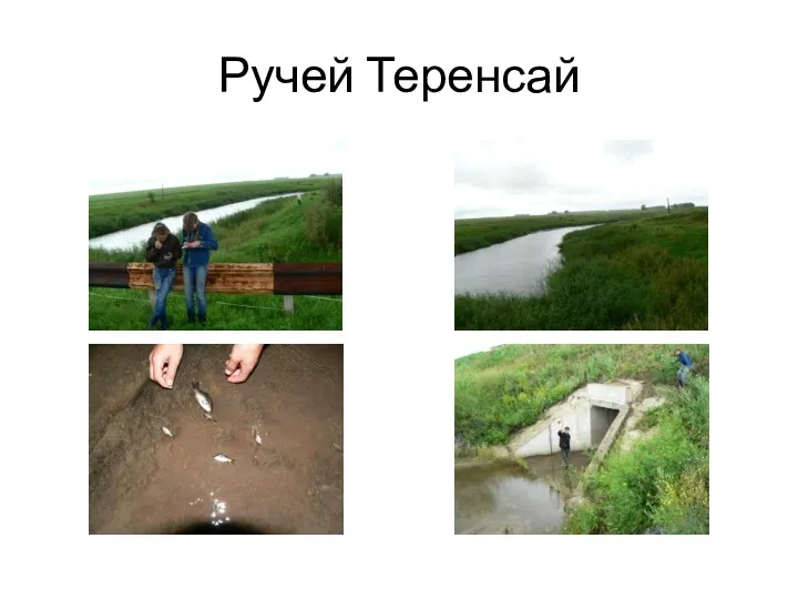 Ручей Теренсай