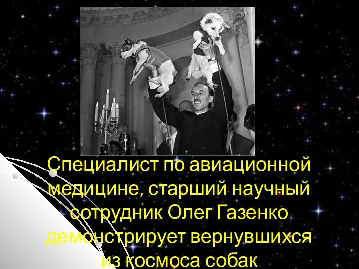 Специалист по авиационной медицине, старший научный сотрудник Олег Газенко демонстрирует вернувшихся из космоса собак