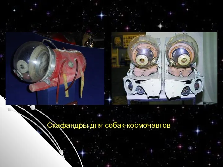 Скафандры для собак-космонавтов