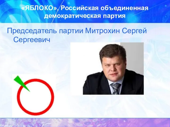 «ЯБЛОКО», Российская объединенная демократическая партия Председатель партии Митрохин Сергей Сергеевич