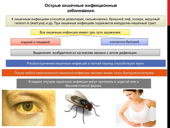 Острые кишечные инфекционные заболевания. К кишечным инфекциям относятся дизентерия, сальмонеллез,