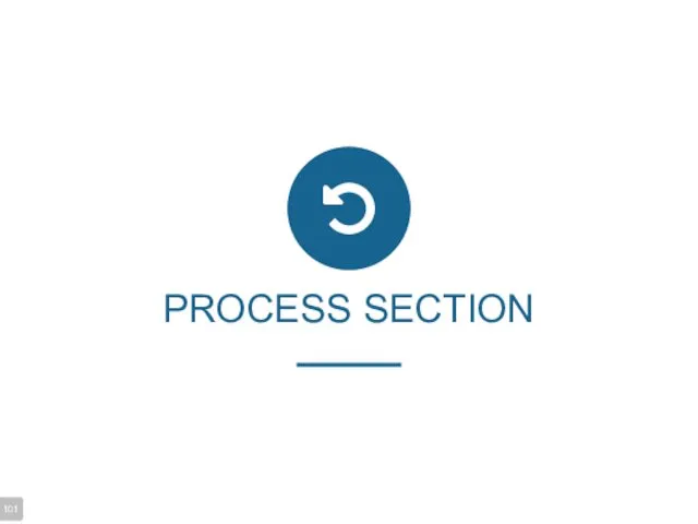 PROCESS SECTION