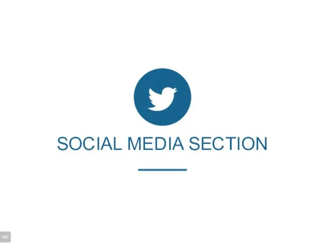 SOCIAL MEDIA SECTION