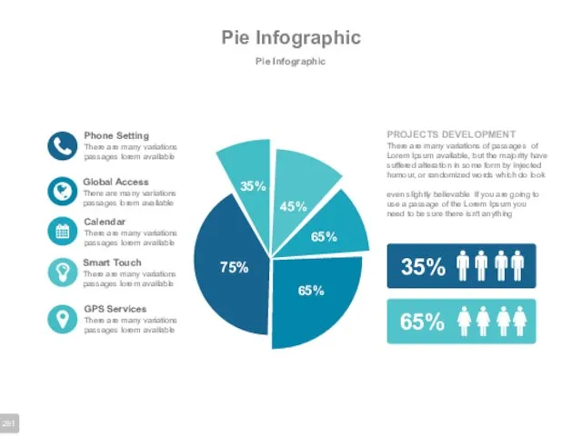 Pie Infographic Pie Infographic PROJECTS DEVELOPMENT There are many variations