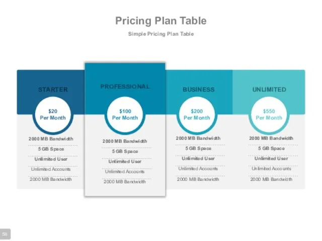 Pricing Plan Table Simple Pricing Plan Table STARTER PROFESSIONAL BUSINESS