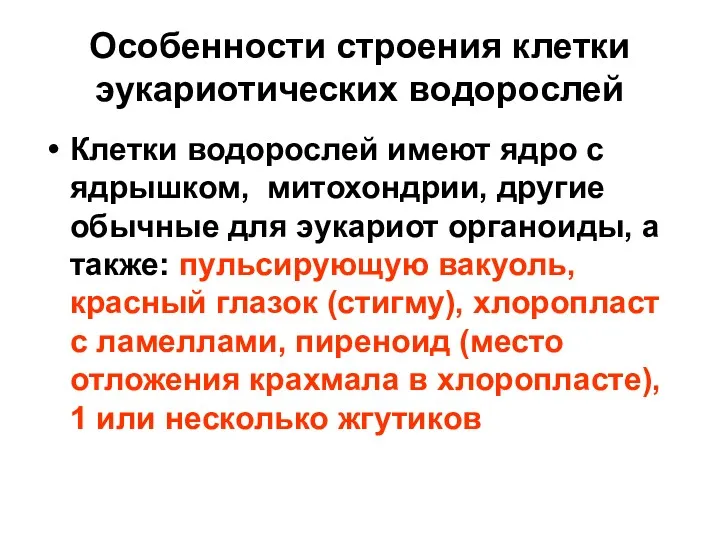 Особенности строения клетки эукариотических водорослей Клетки водорослей имеют ядро с