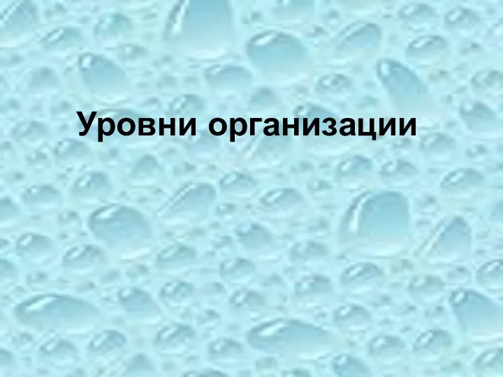 Уровни организации