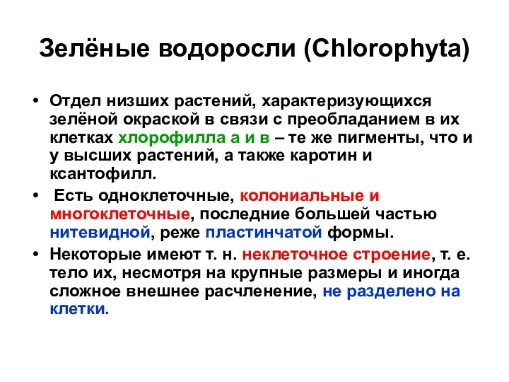 Зелёные водоросли (Chlorophyta) Отдел низших растений, характеризующихся зелёной окраской в