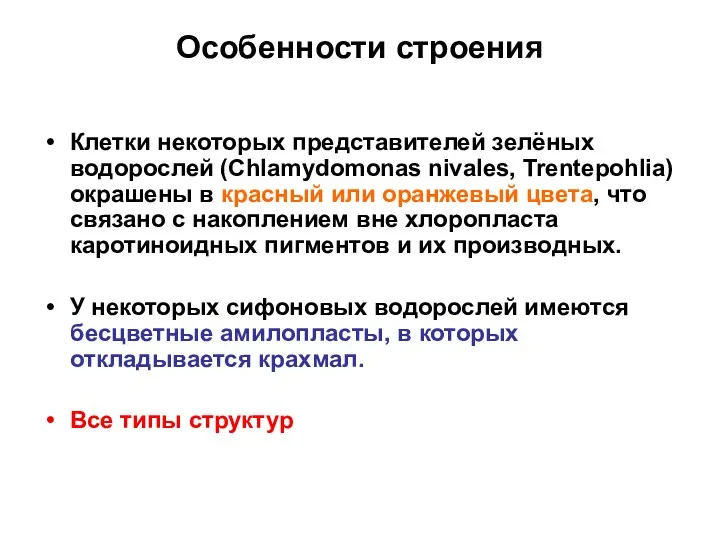 Особенности строения Клетки некоторых представителей зелёных водорослей (Chlamydomonas nivales, Trentepohlia)