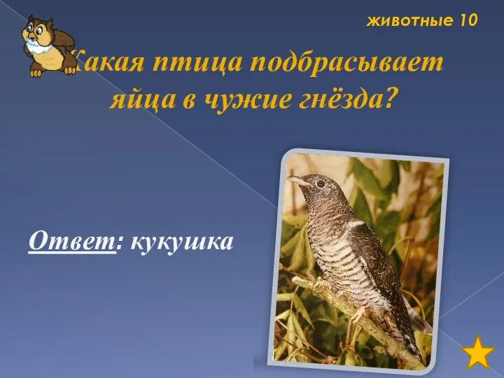 животные 10 Какая птица подбрасывает яйца в чужие гнёзда? Ответ: кукушка