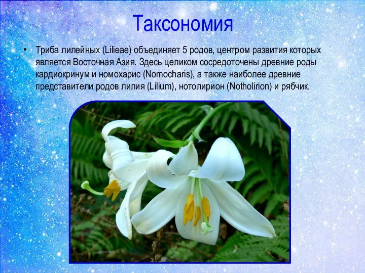 Таксономия Триба лилейных (Lilieae) объединяет 5 родов, центром развития которых