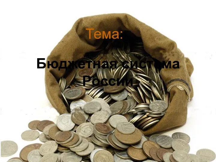 Бюджетная система России