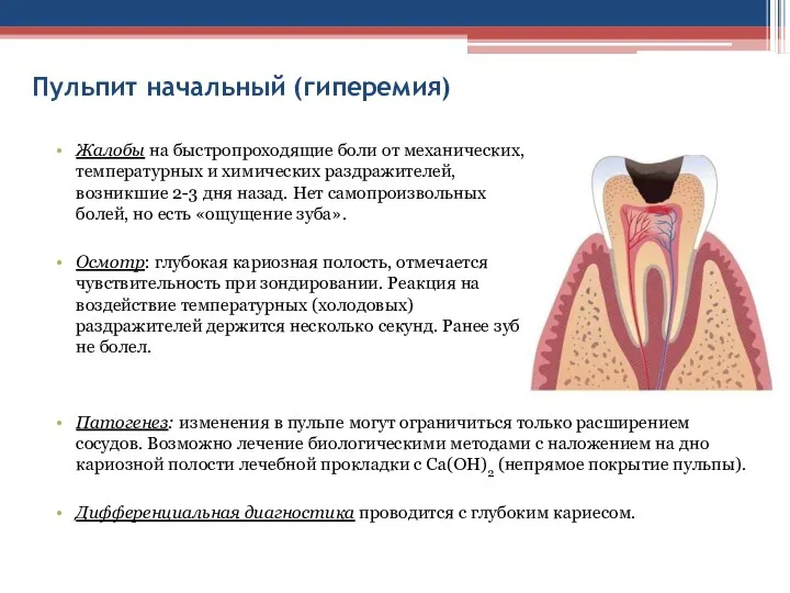 Пульпит начальный (гиперемия) Патогенез: изменения в пульпе могут ограничиться только