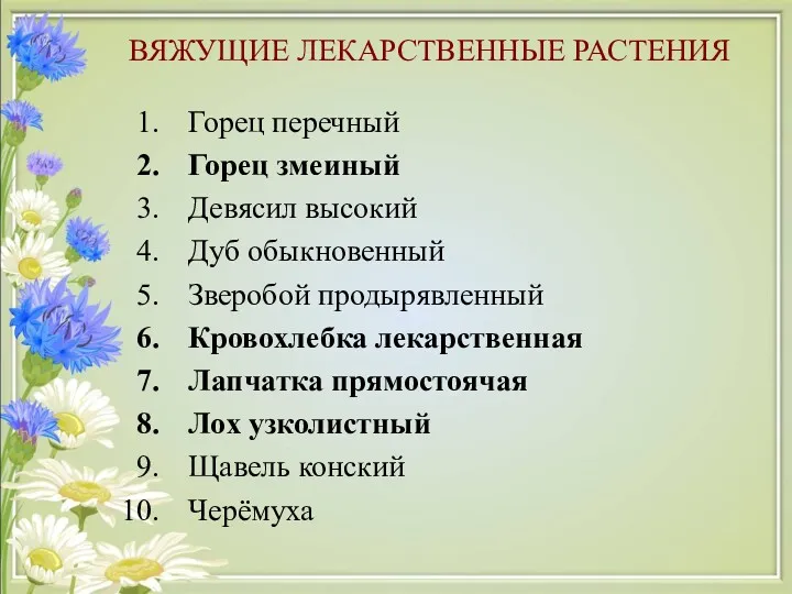 ВЯЖУЩИЕ ЛЕКАРСТВЕННЫЕ РАСТЕНИЯ Горец перечный Горец змеиный Девясил высокий Дуб обыкновенный Зверобой продырявленный