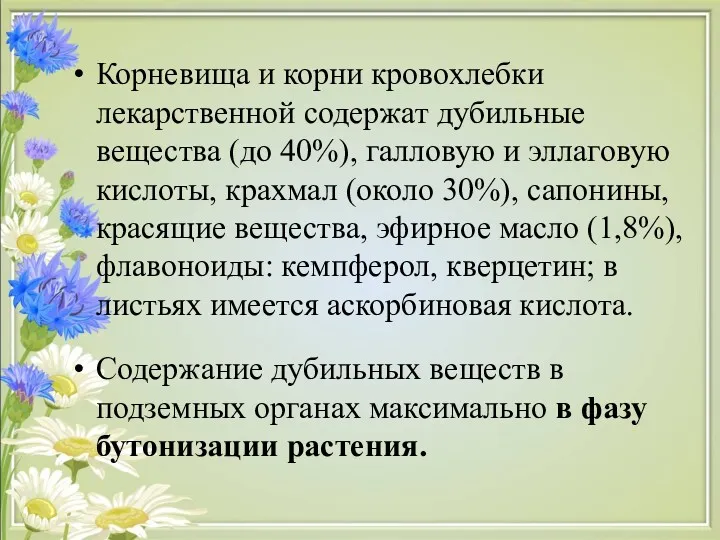 Корневища и корни кровохлебки лекарственной содержат дубильные вещества (до 40%),