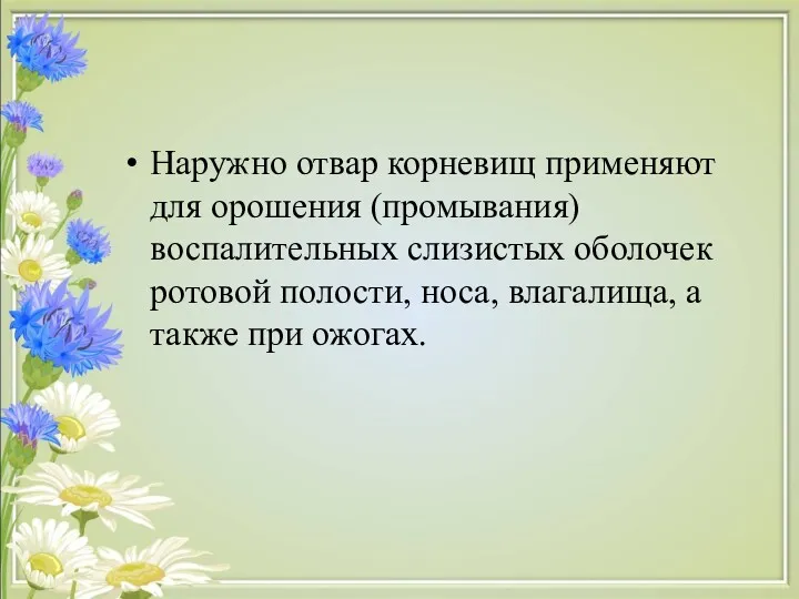 Наружно отвар корневищ применяют для орошения (промывания) воспалительных слизистых оболочек ротовой полости, носа,