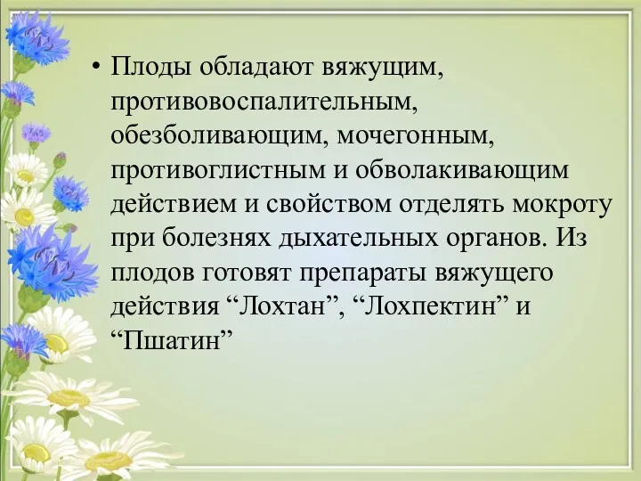 Плоды обладают вяжущим, противовоспалительным, обезболивающим, мочегонным, противоглистным и обволакивающим действием