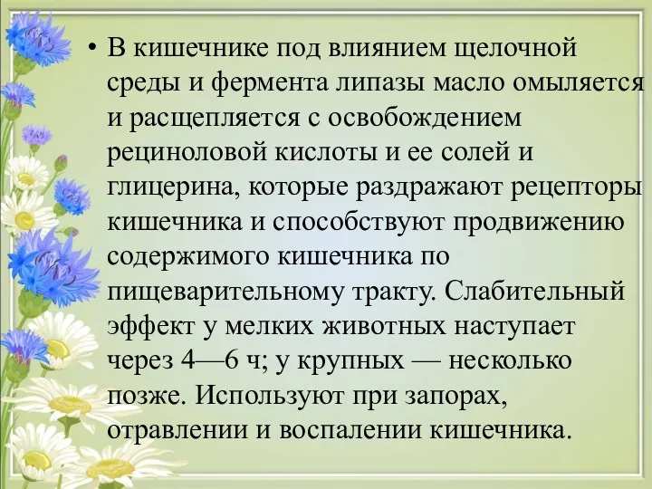 В кишечнике под влиянием щелочной среды и фермента липазы масло омыляется и расщепляется