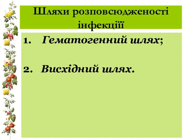 Шляхи розповсюдженості інфекціїї 1. Гематогенний шлях; 2. Висхідний шлях.