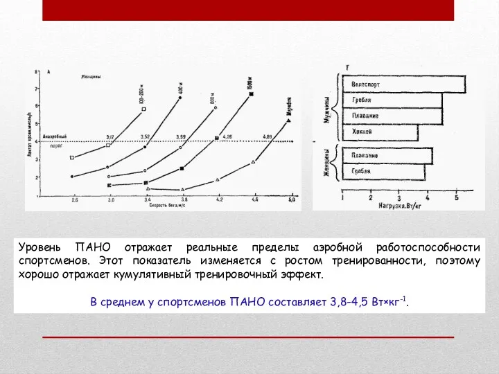 Уровень ПАНО отражает реальные пределы аэробной работоспособности спортсменов. Этот показатель