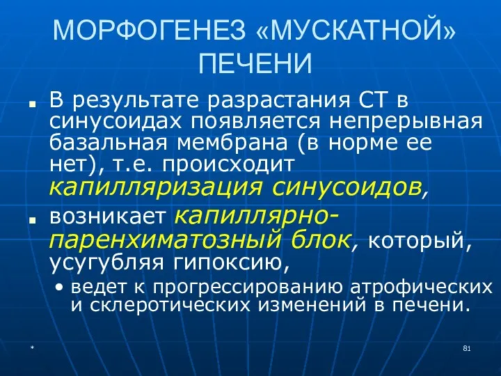 МОРФОГЕНЕЗ «МУСКАТНОЙ» ПЕЧЕНИ В результате разрастания СТ в синусоидах появляется