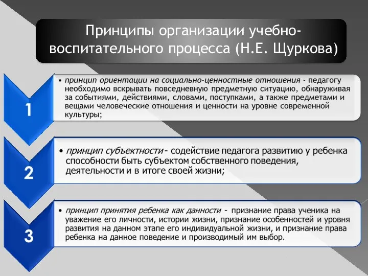 Принципы организации учебно-воспитательного процесса (Н.Е. Щуркова)