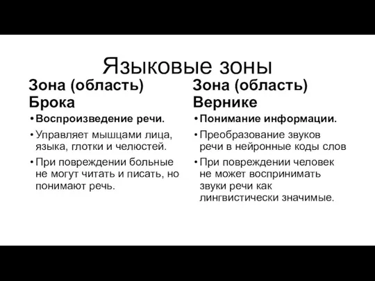 Языковые зоны Зона (область) Брока Воспроизведение речи. Управляет мышцами лица,