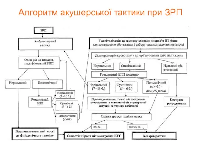 Алгоритм акушерської тактики при ЗРП