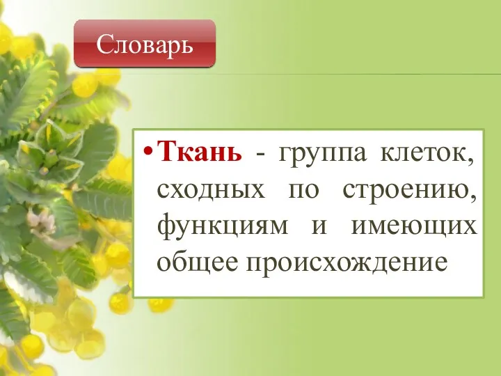 Ткань - группа клеток, сходных по строению, функциям и имеющих общее происхождение Словарь