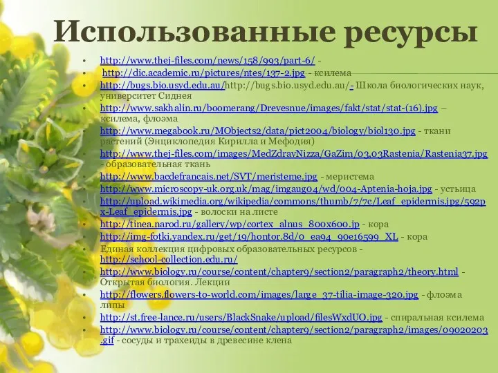 http://www.thej-files.com/news/158/993/part-6/ - http://dic.academic.ru/pictures/ntes/137-2.jpg - ксилема http://bugs.bio.usyd.edu.au/http://bugs.bio.usyd.edu.au/- Школа биологических наук, университет