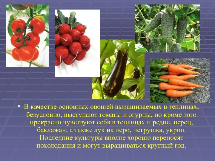 В качестве основных овощей выращиваемых в теплицах, безусловно, выступают томаты
