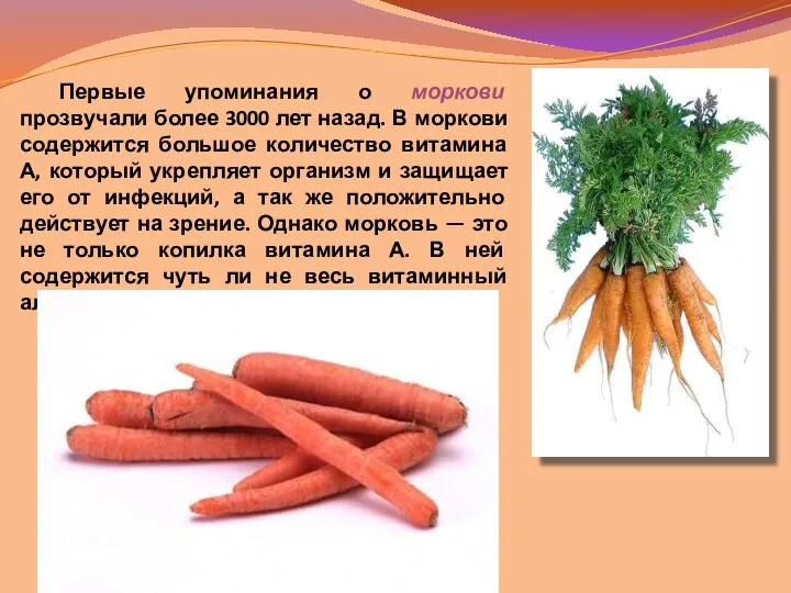 Первые упоминания о моркови прозвучали более 3000 лет назад. В