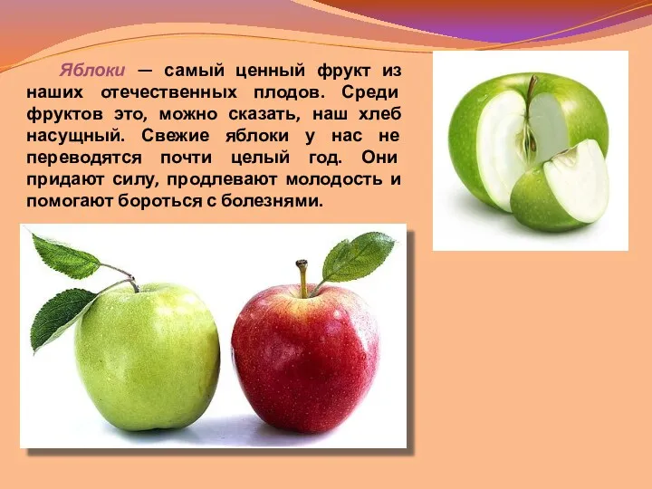 Яблоки — самый ценный фрукт из наших отечественных плодов. Среди