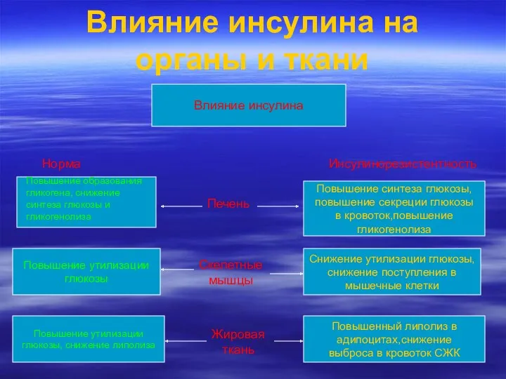 Влияние инсулина на органы и ткани Влияние инсулина Норма Инсулинорезистентность