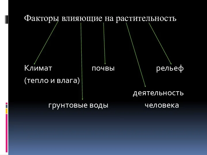 Факторы влияющие на растительность Климат почвы рельеф (тепло и влага) деятельность грунтовые воды человека