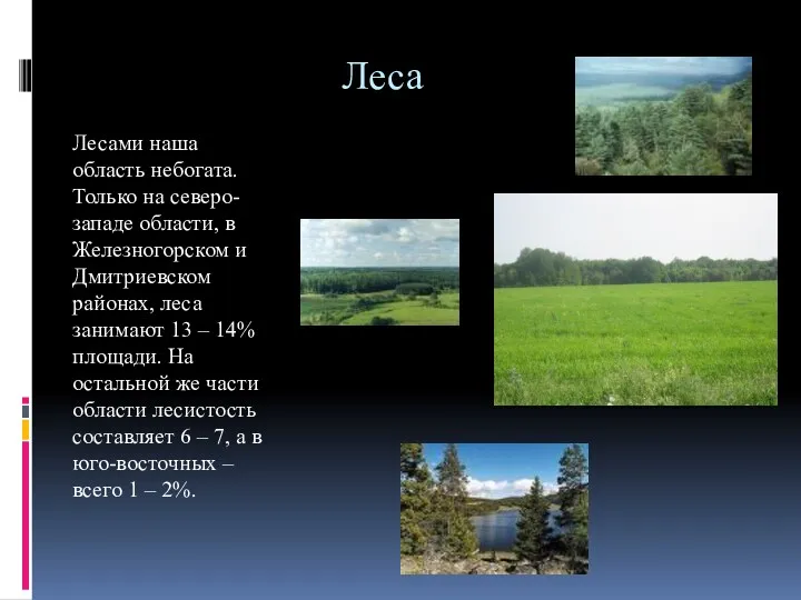 Леса Лесами наша область небогата. Только на северо-западе области, в