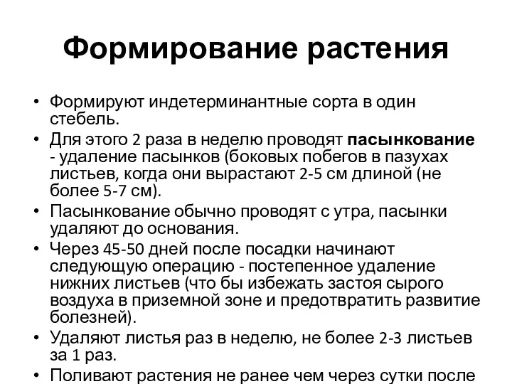 Формирование растения Формируют индетерминантные сорта в один стебель. Для этого