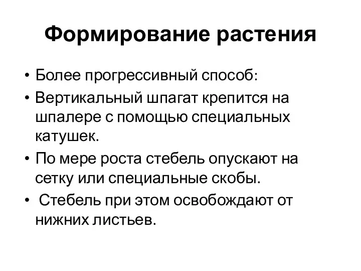 Формирование растения Более прогрессивный способ: Вертикальный шпагат крепится на шпалере