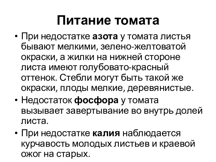 Питание томата При недостатке азота у томата листья бывают мелкими,