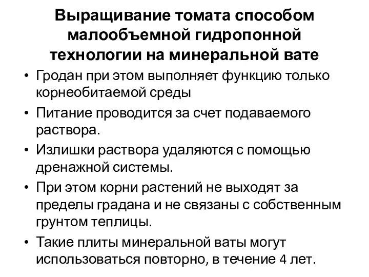 Выращивание томата способом малообъемной гидропонной технологии на минеральной вате Гродан