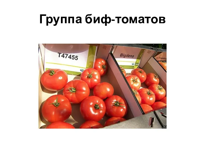 Группа биф-томатов