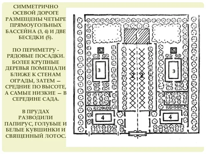 СИММЕТРИЧНО ОСЕВОЙ ДОРОГЕ РАЗМЕЩЕНЫ ЧЕТЫРЕ ПРЯМОУГОЛЬНЫХ БАССЕЙНА (3, 4) И