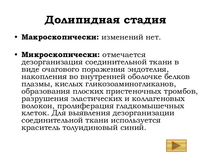 Долипидная стадия Макроскопически: изменений нет. Микроскопически: отмечается дезорганизация соединительной ткани