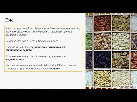 Рис В Россию рис попадал с древнейших дохристианских времён, главным