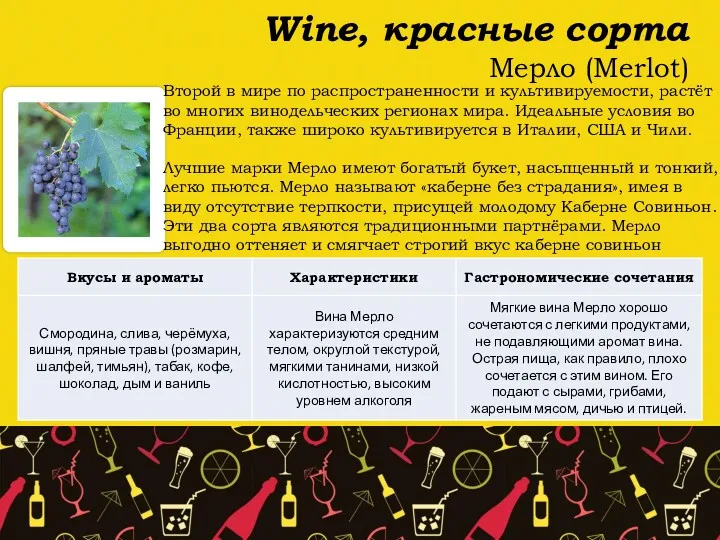 Wine, красные сорта Мерло (Merlot) Второй в мире по распространенности