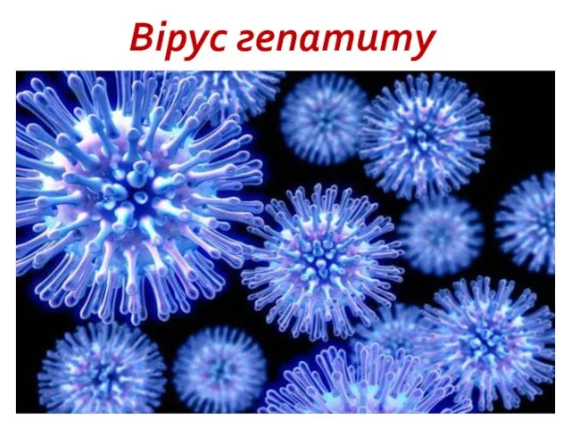 Вірус гепатиту