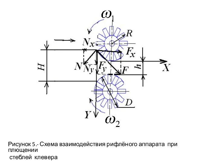 Рисунок 5.- Схема взаимодействия рифлёного аппарата при плющении стеблей клевера