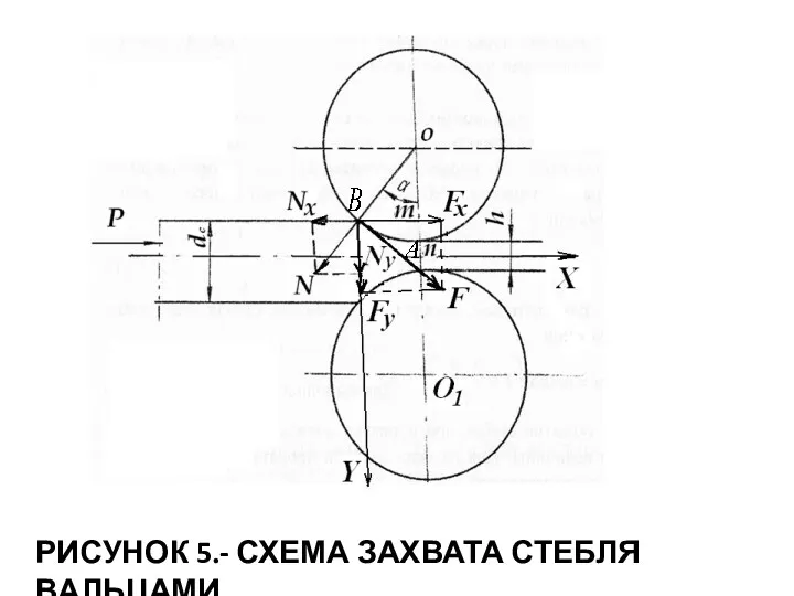 РИСУНОК 5.- СХЕМА ЗАХВАТА СТЕБЛЯ ВАЛЬЦАМИ.